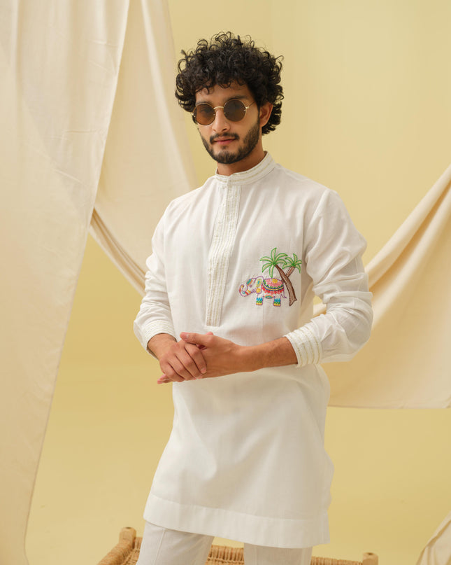 The Urban Gajraj Kurta Set